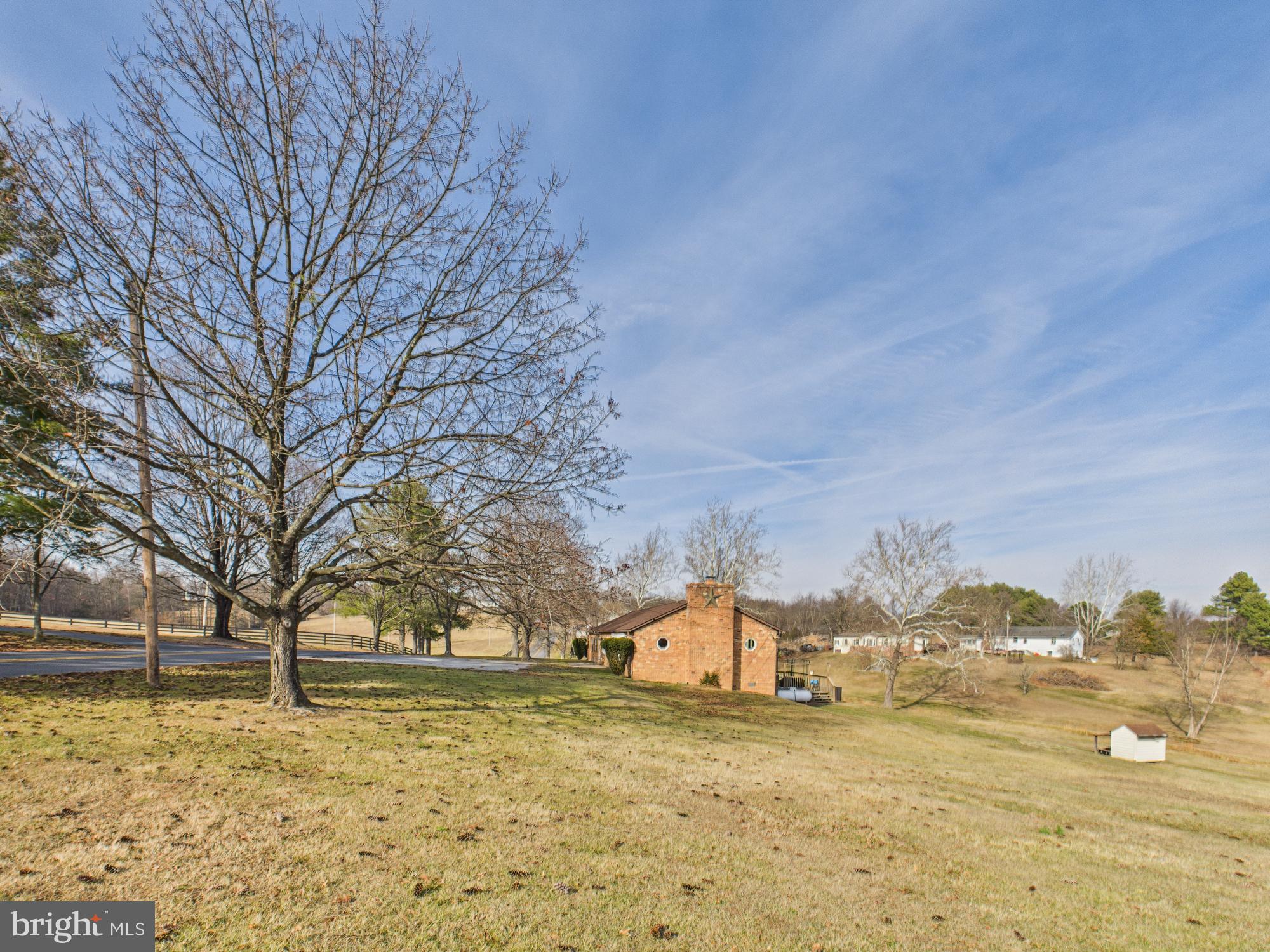 364 Bethel Grange Road Winchester, VA 22603 - Photo 5 of 52 a view of a yard with a large tree