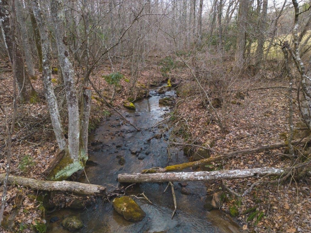 Tbd Long Mountain Road Southwest Willis, VA 24380 - Photo 29 of 66 Gallery Image 29