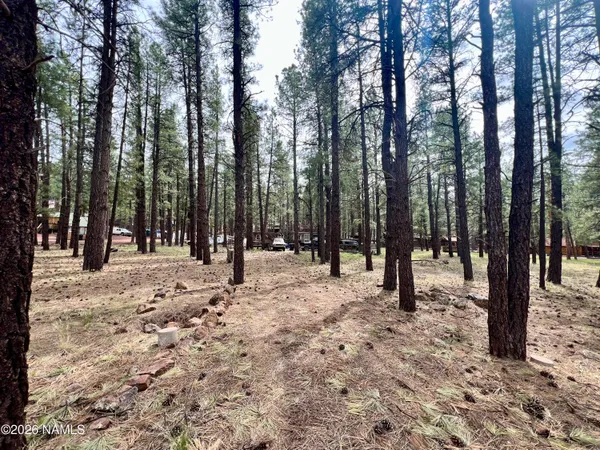 $155,000 | 7350 East Jolly Rogue Lane, Williams, AZ 86046