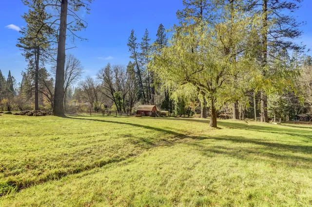a swimming pool with trees in the background