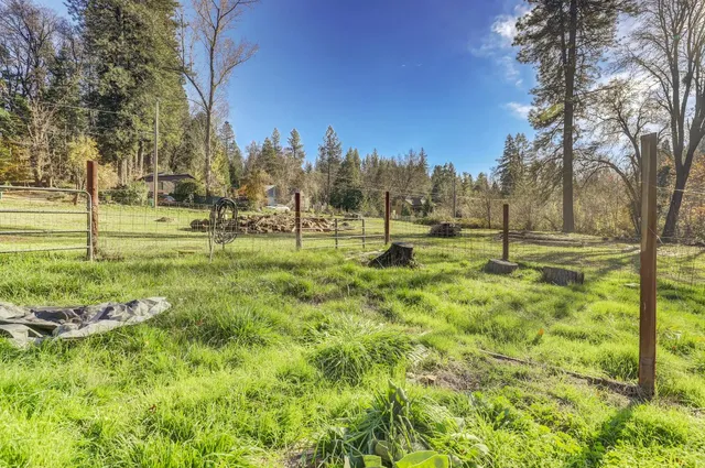 a view of outdoor space with trees all around