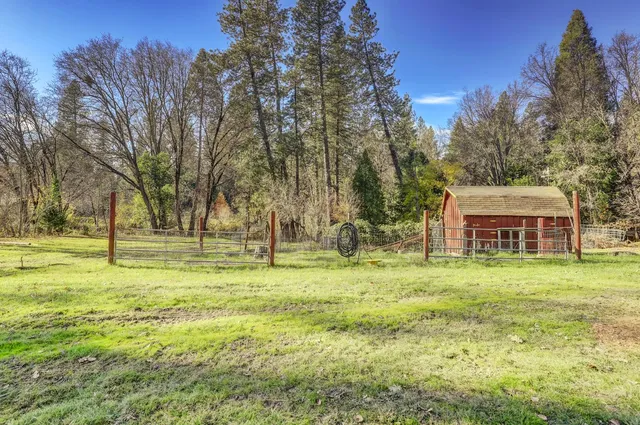 a fire hydrant in the middle of a field