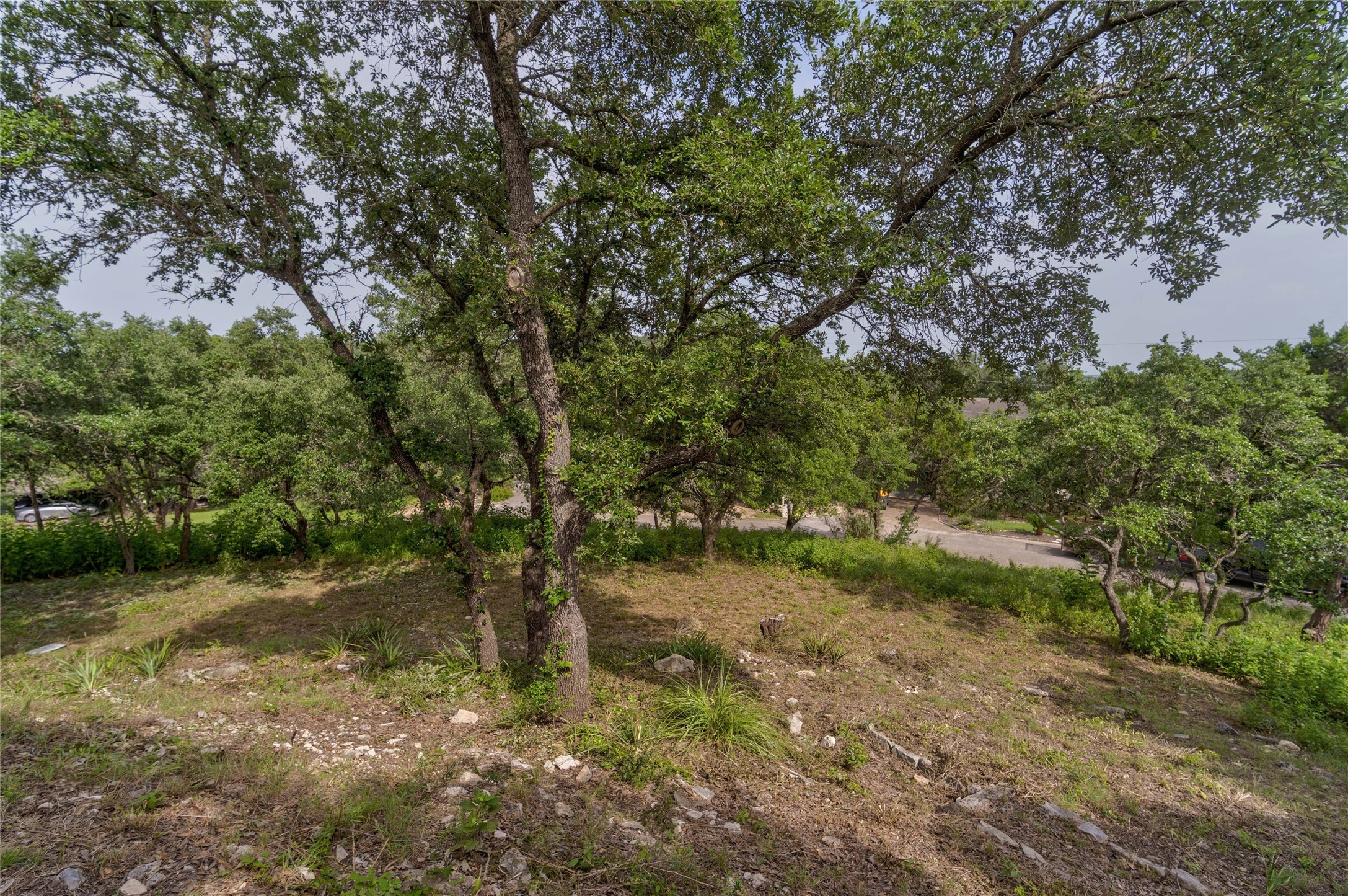 2102 Paisano Road Austin, TX 78746 - Photo 26 of 26 View of local wilderness