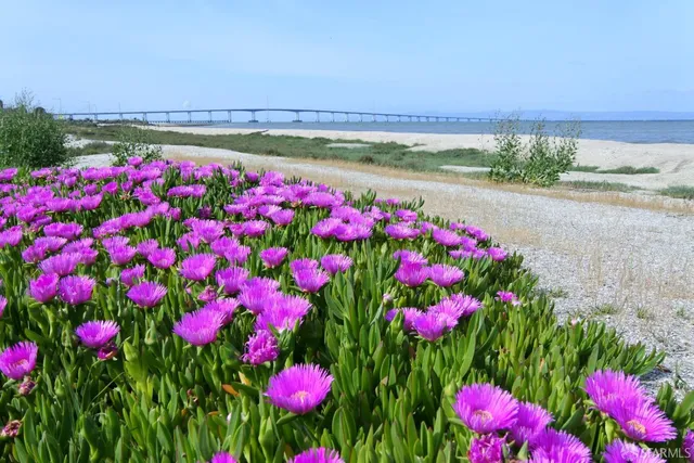 $4,950 | 1208 Admiralty Lane, Foster City, CA 94404