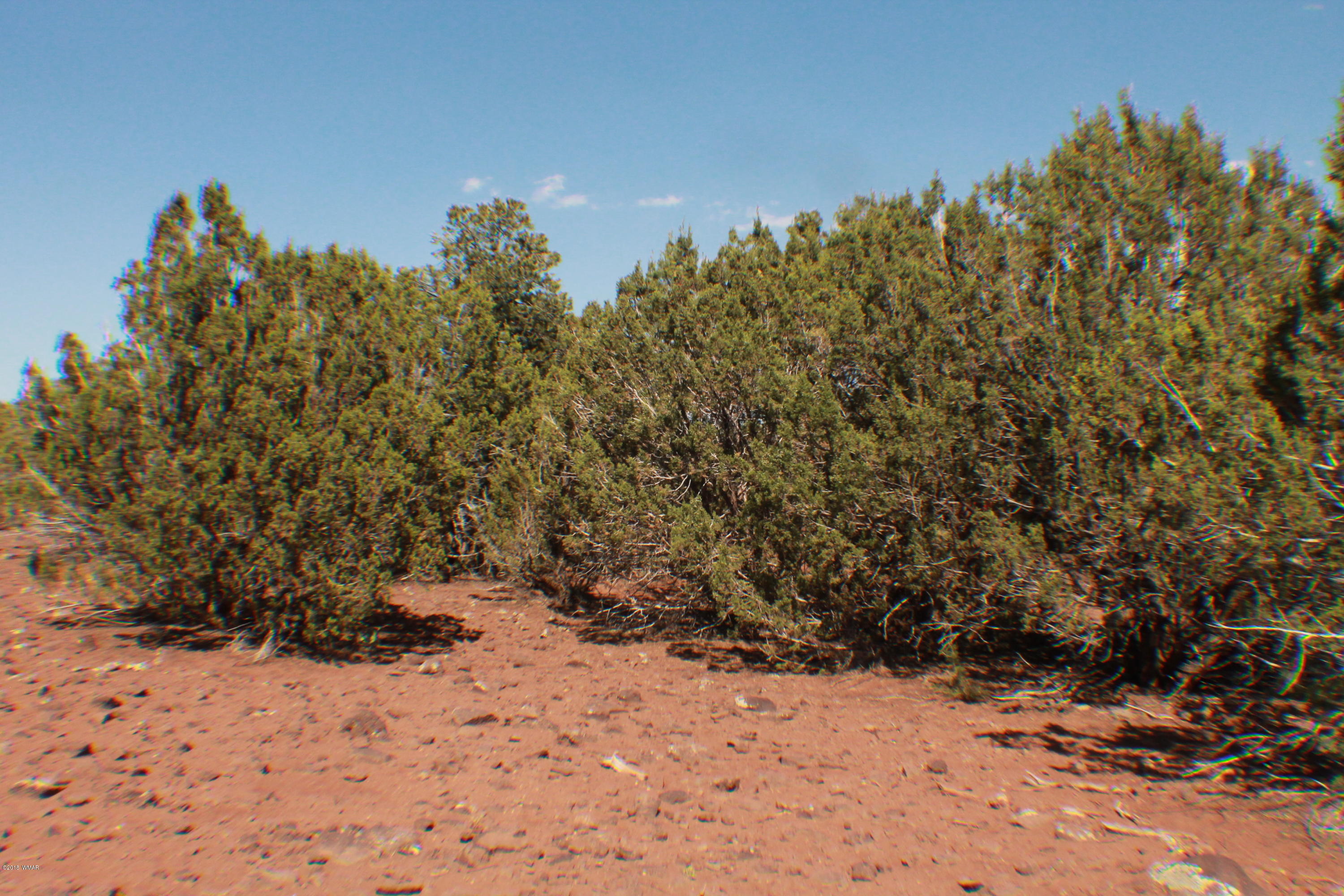 Lot 44 Eagle Ridge Concho, AZ 85924 - Photo 5 of 10
