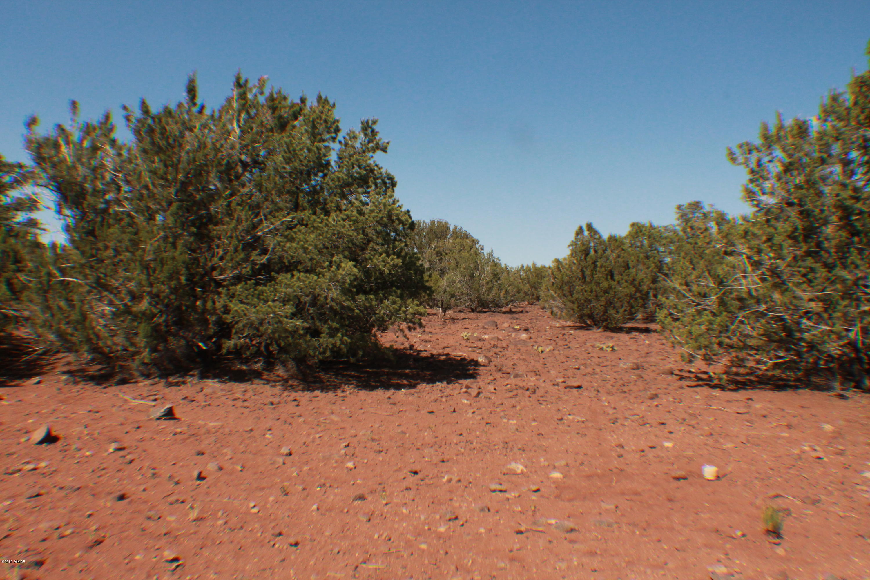 Lot 44 Eagle Ridge Concho, AZ 85924 - Photo 8 of 10