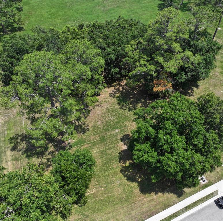 6703 Southwest 40 Terrace Gainesville, FL 32608 - Photo 3 of 5 a view of a garden with plants