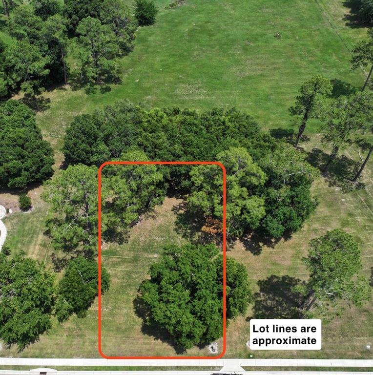 6703 Southwest 40 Terrace Gainesville, FL 32608 - Photo 4 of 5 a view of a yard with plants and large trees