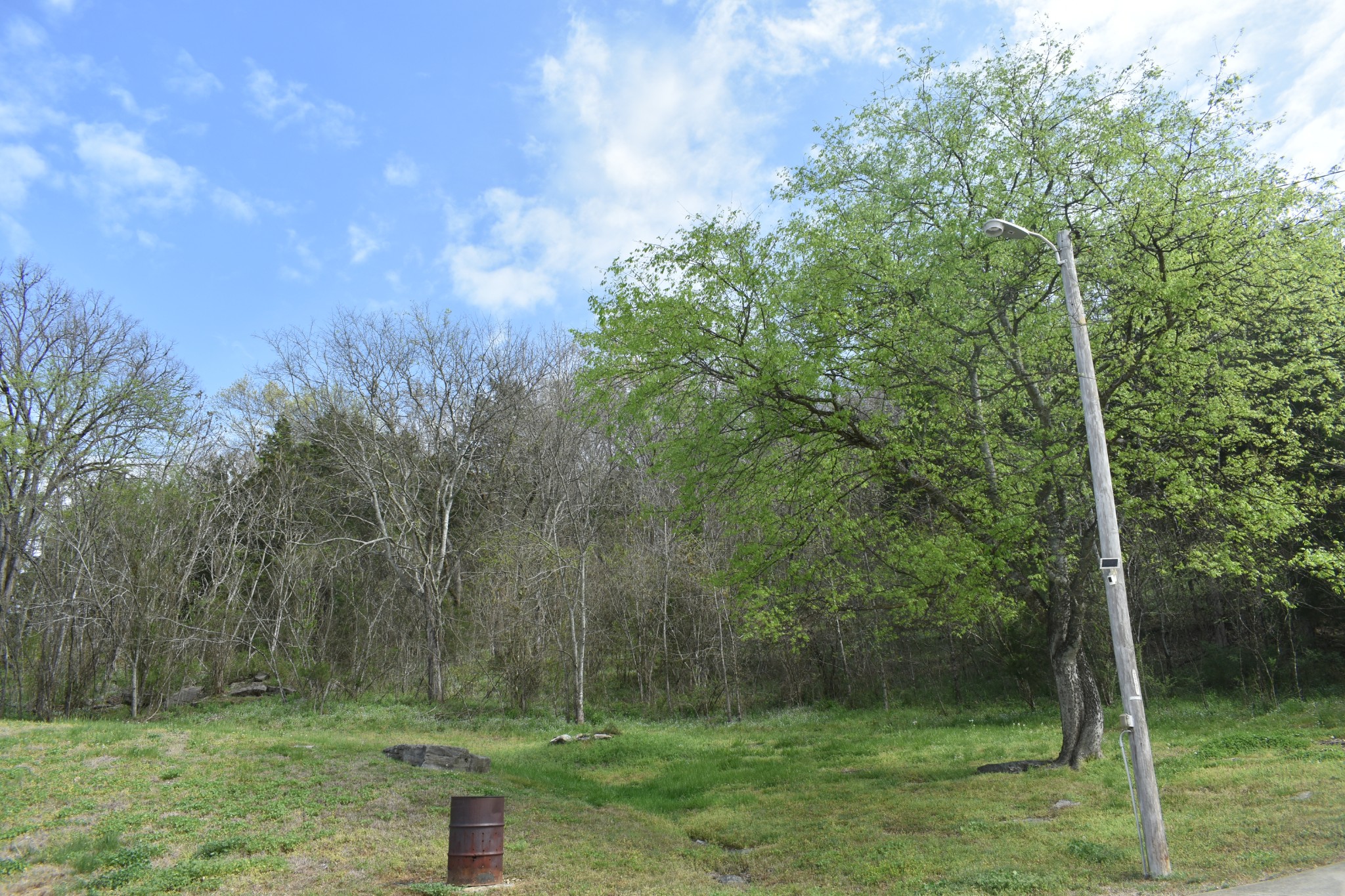 115 Harris Hollow Road Pleasant Shade, TN 37145 - Photo 6 of 23