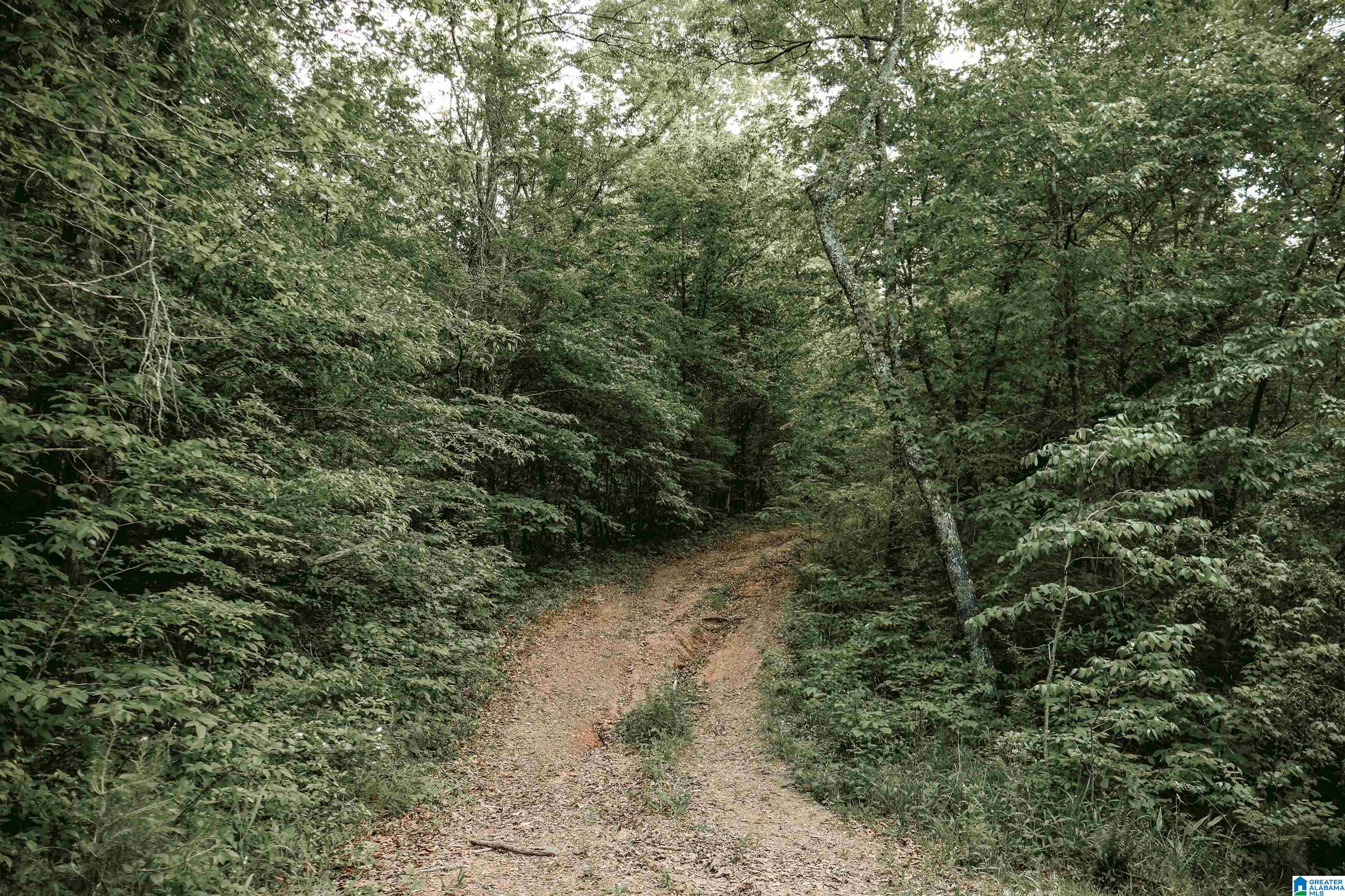 1678 Hays Cemetery Road Hayden, AL 35079 - Photo 69 of 87