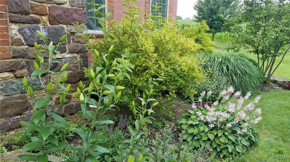 215 Klein Road Bath, PA 18014 - Photo 43 of 44 a view of a garden