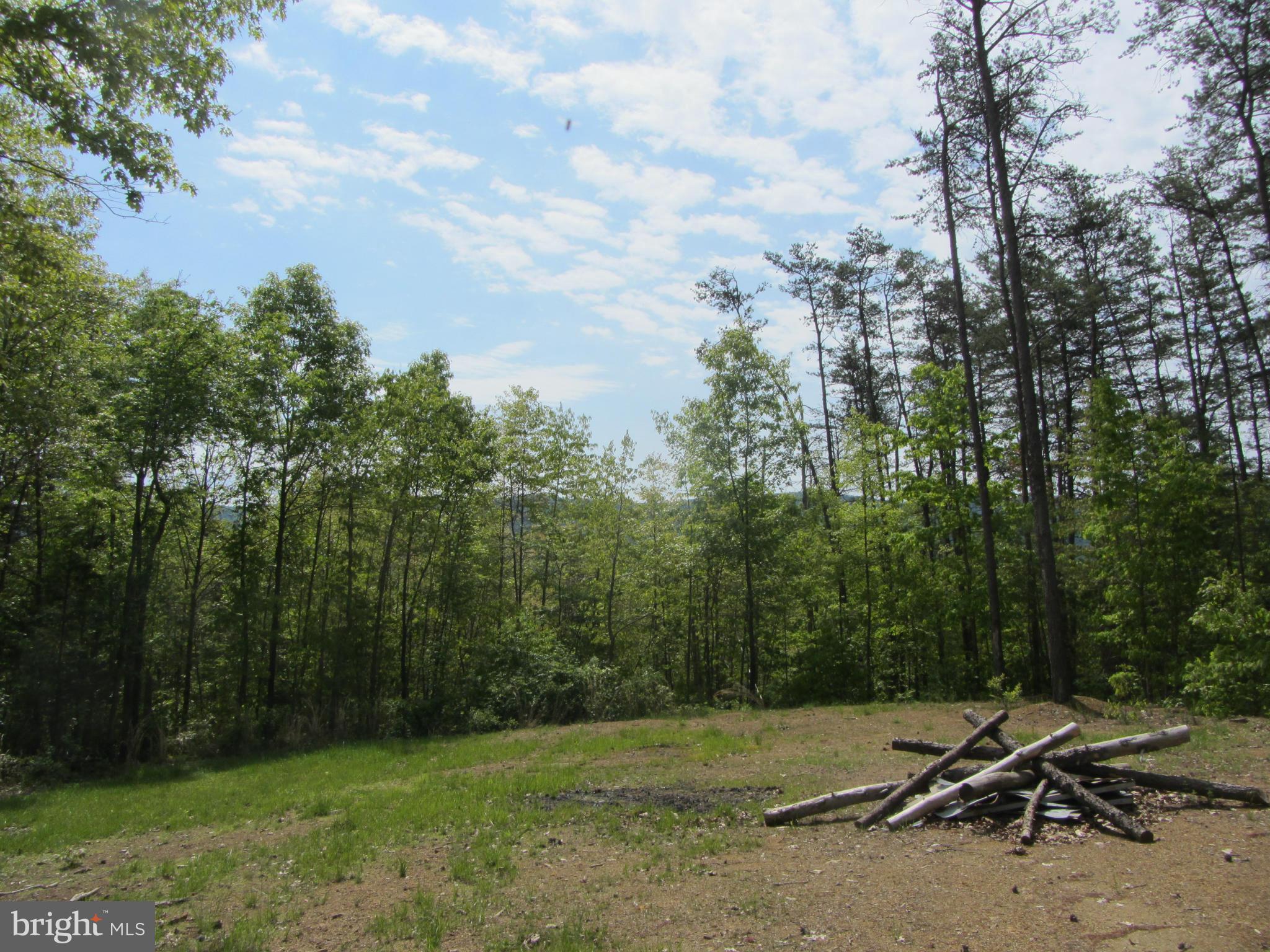 Oak Tree Fort Valley Fort Valley, VA 22652 - Photo 1 of 27 View