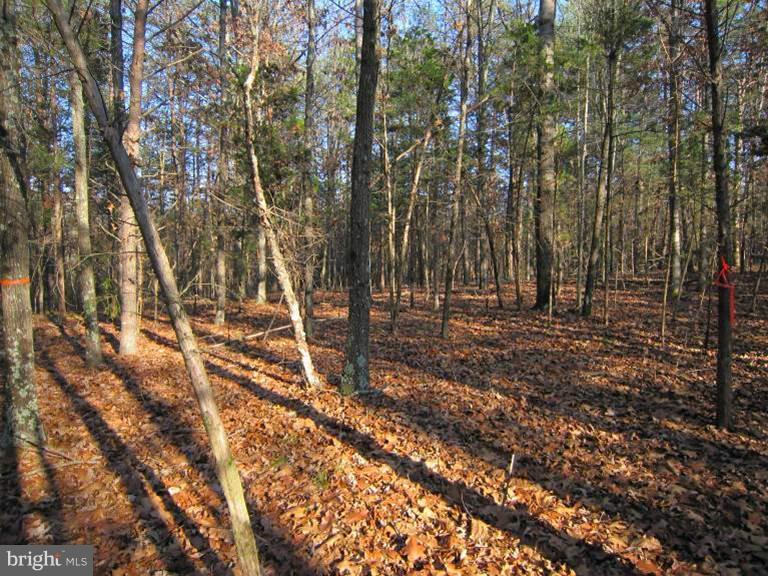Oak Tree Fort Valley Fort Valley, VA 22652 - Photo 20 of 27 Exterior (General)