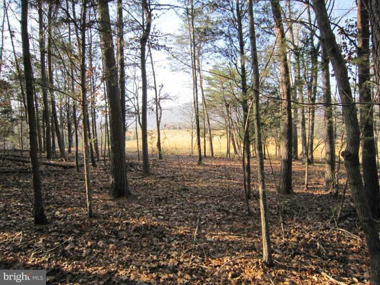 Oak Tree Fort Valley Fort Valley, VA 22652 - Photo 21 of 27 Exterior (General)