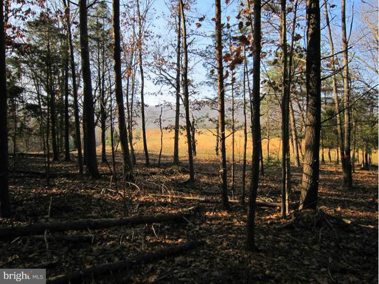 Oak Tree Fort Valley Fort Valley, VA 22652 - Photo 22 of 27 Exterior (General)