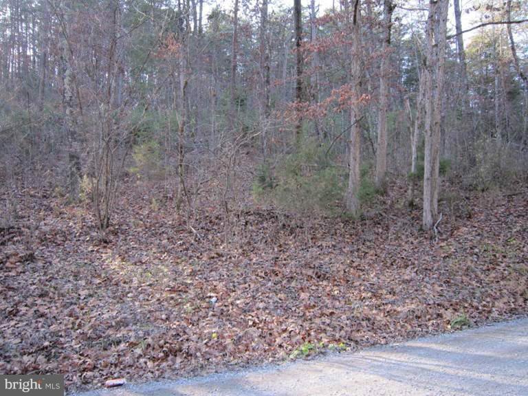 Oak Tree Fort Valley Fort Valley, VA 22652 - Photo 25 of 27 Exterior (General)