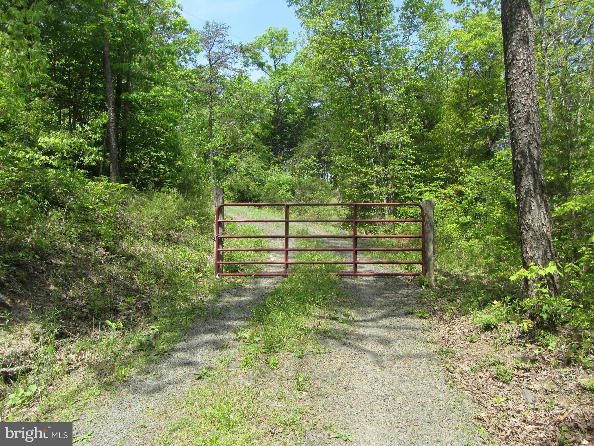 Oak Tree Fort Valley Fort Valley, VA 22652 - Photo 10 of 27 View