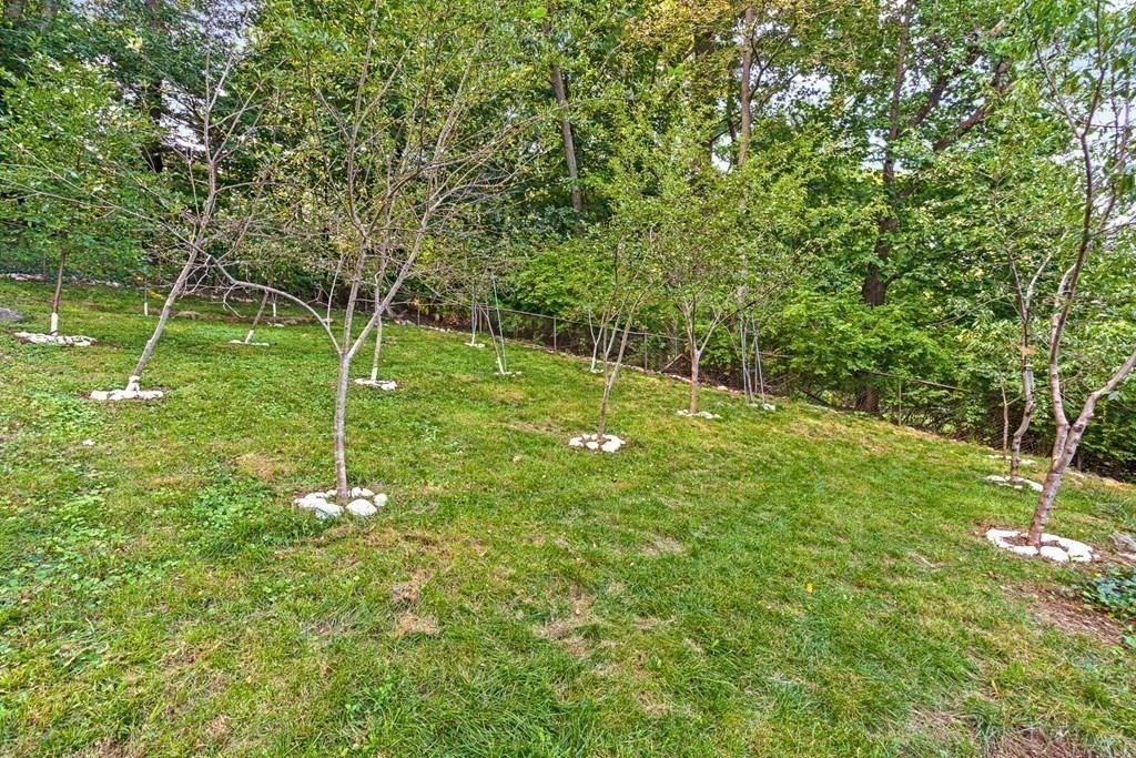 60 Emerson Road Winchester, MA 01890 - Photo 6 of 38 Gallery Image 6
