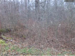6399 Gibbs Road Andover, OH 44003 - Photo 1 of 2 Gallery Image 1