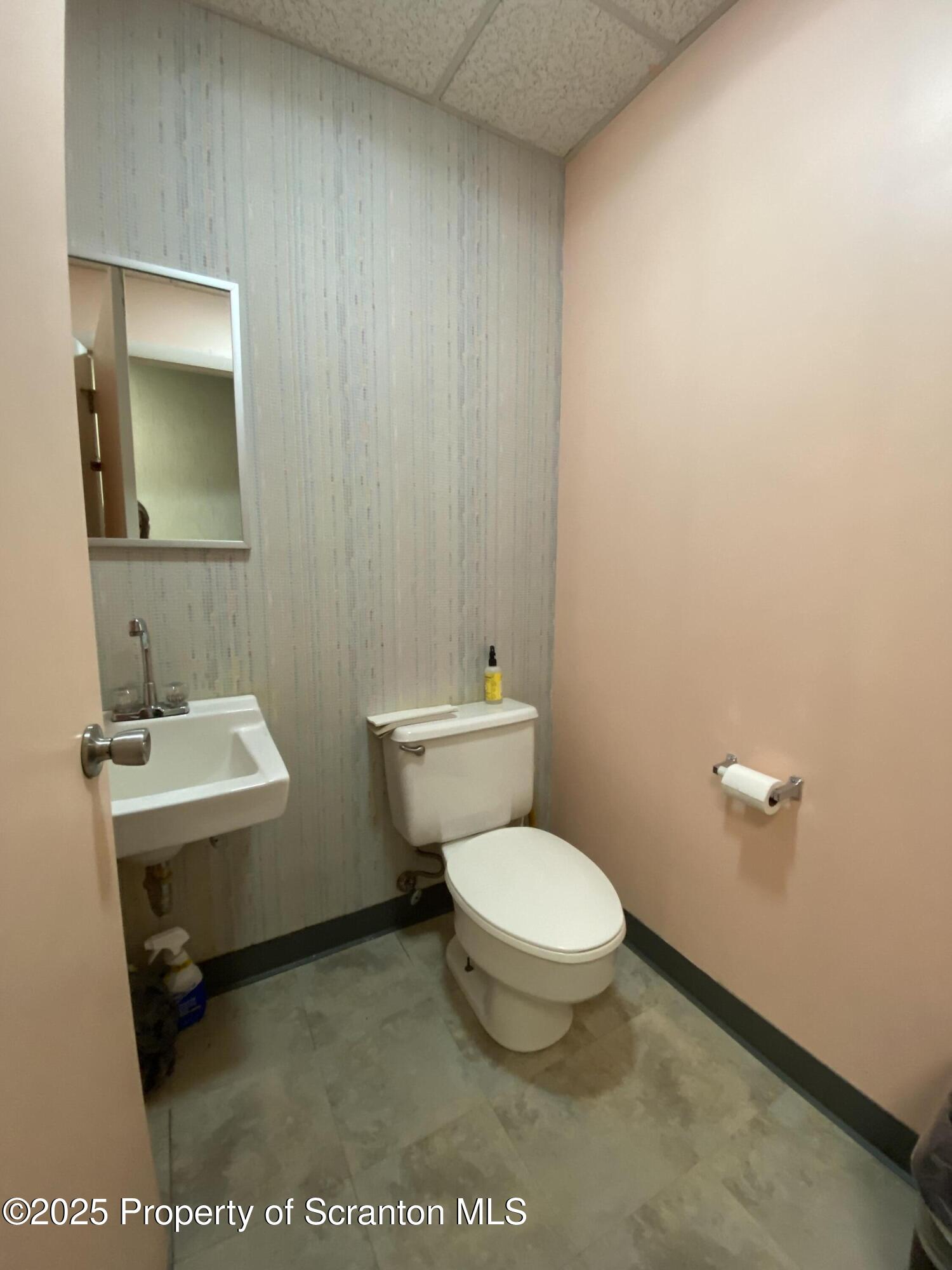 381 North 9th Avenue Scranton, PA 18504 - Photo 39 of 56 a bathroom with a toilet a sink and mirror