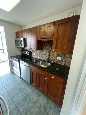 $3,600 | 10 East Ontario Street, Unit 4102, Chicago, IL 60611