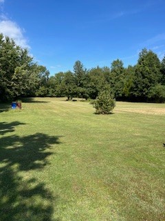 667 Maple Bend Road Winchester, TN 37398 - Photo 17 of 33 a view of an ocean