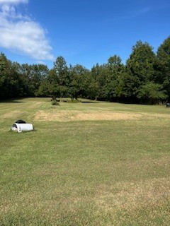 667 Maple Bend Road Winchester, TN 37398 - Photo 18 of 33 a view of an ocean and a yard