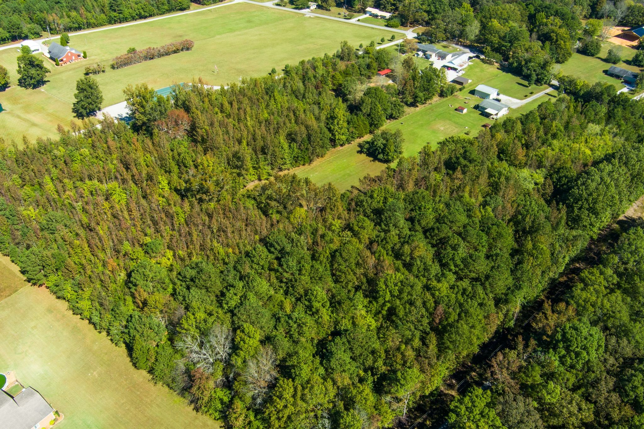 667 Maple Bend Road Winchester, TN 37398 - Photo 25 of 33 a view of a tall trees