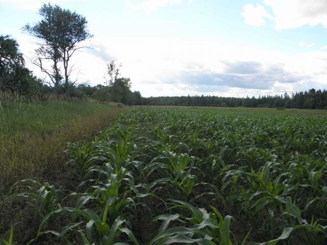 On Woodlawn Road Kennan, WI 54537 - Photo 12 of 20 Gallery Image 12