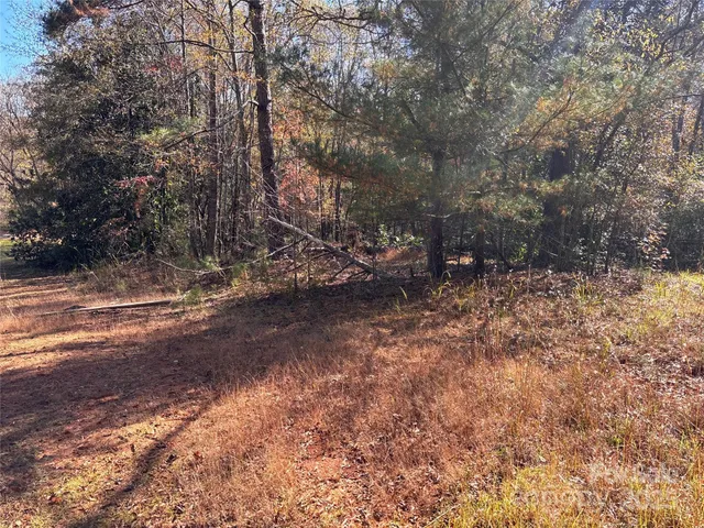 a view of dirt yard with a tree