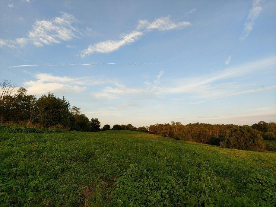 770 Little Stoner Road Winchester, KY 40391 - Photo 10 of 34 Listing Photo