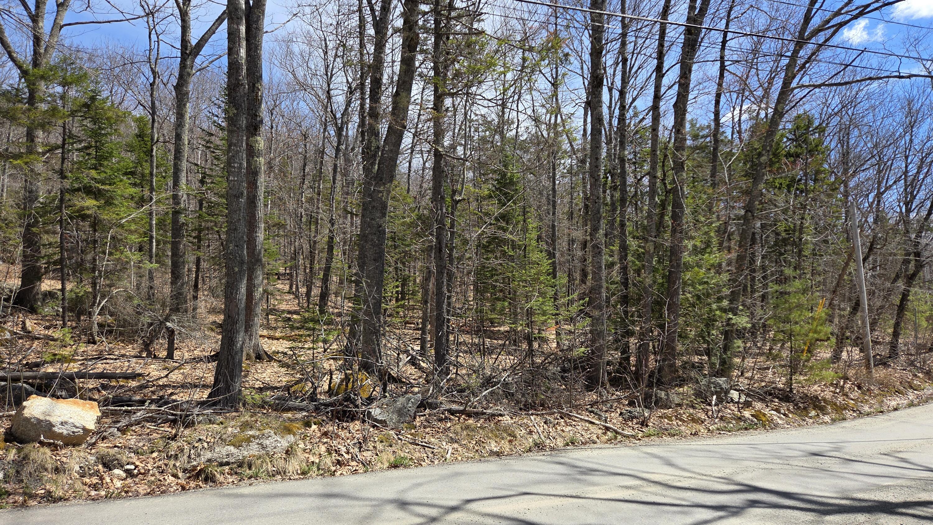 30-039 Sunset Road Dedham, ME 04429 - Photo 2 of 2 7369