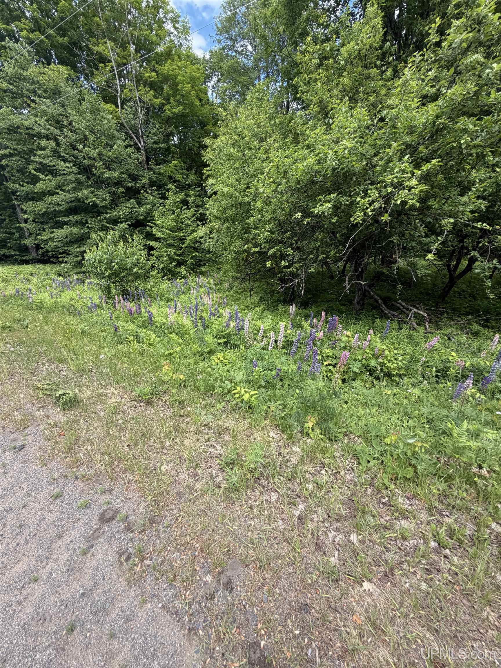 Tbd20 Skanee Road Skanee, MI 49962 - Photo 11 of 26