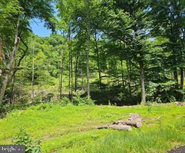 a view of backyard with green space