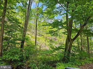 Tiger Valley Road Buffalo Mills, PA 15534 - Photo 2 of 7