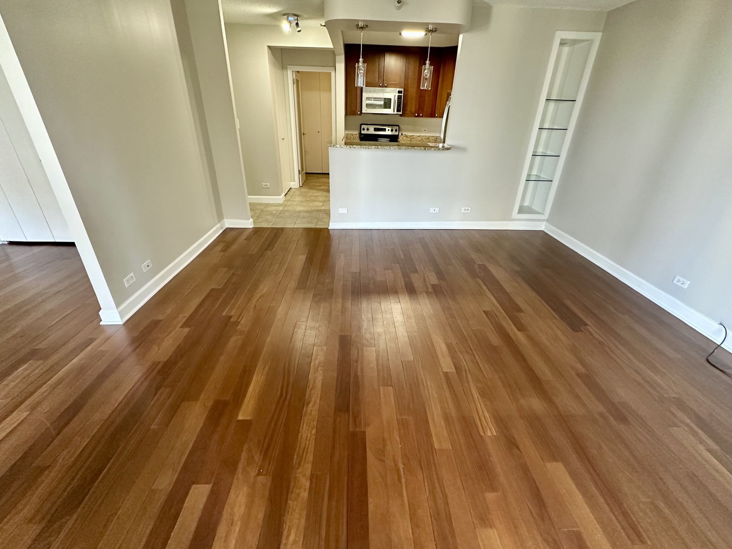 10 East Ontario Street, Unit 2407 Chicago, IL 60611 - Photo 4 of 16