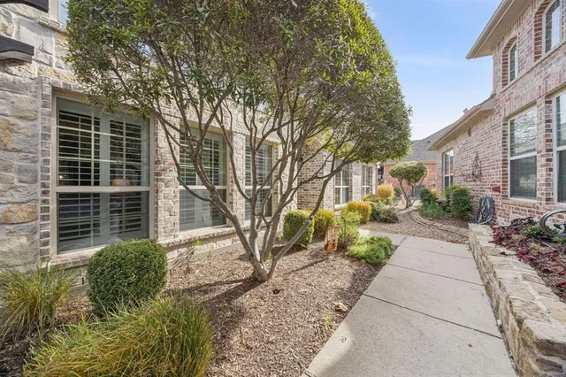 a view of bushes and pathway