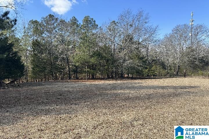 1036 Rushing Springs Road Lincoln, AL 35096 - Photo 6 of 58