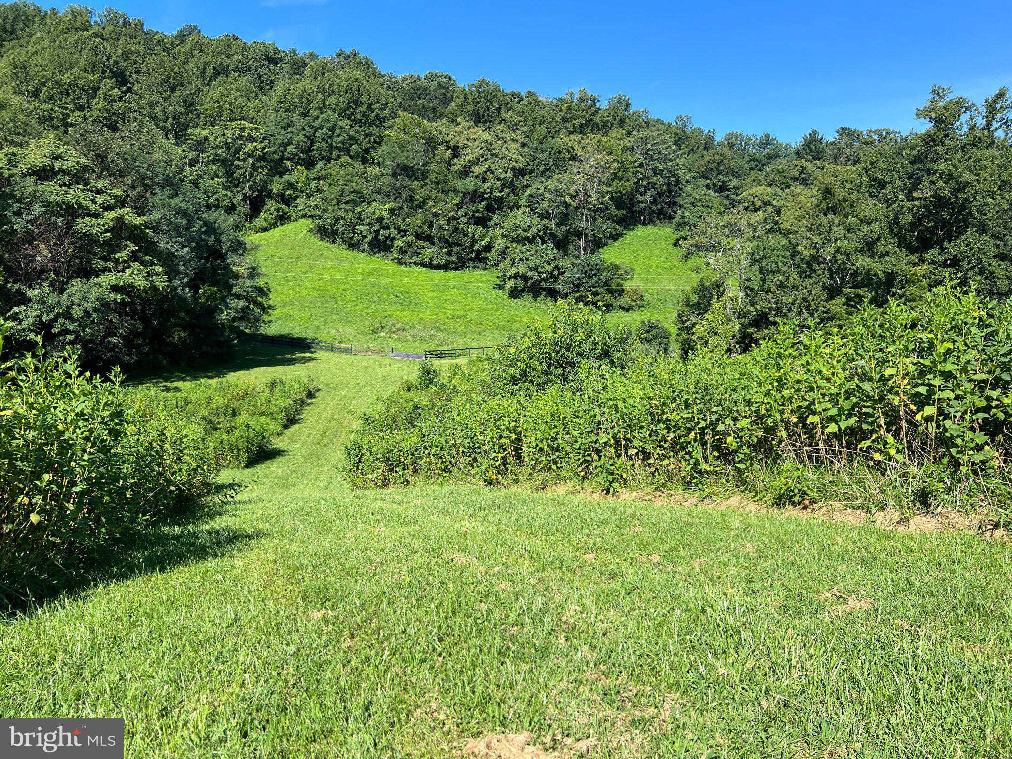 439 Rudasill Road Woodville, VA 22749 - Photo 43 of 55 View from upper pasture to the lower horse pasture