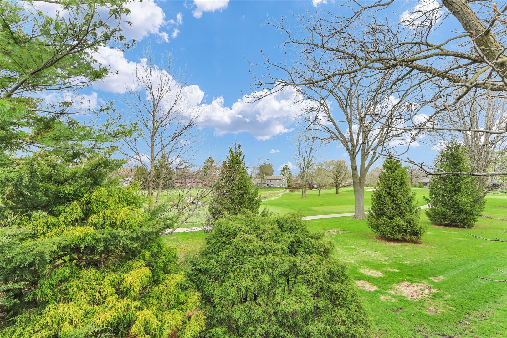29 Fields East Champaign, IL 61822 - Photo 21 of 46 a view of a garden with an trees