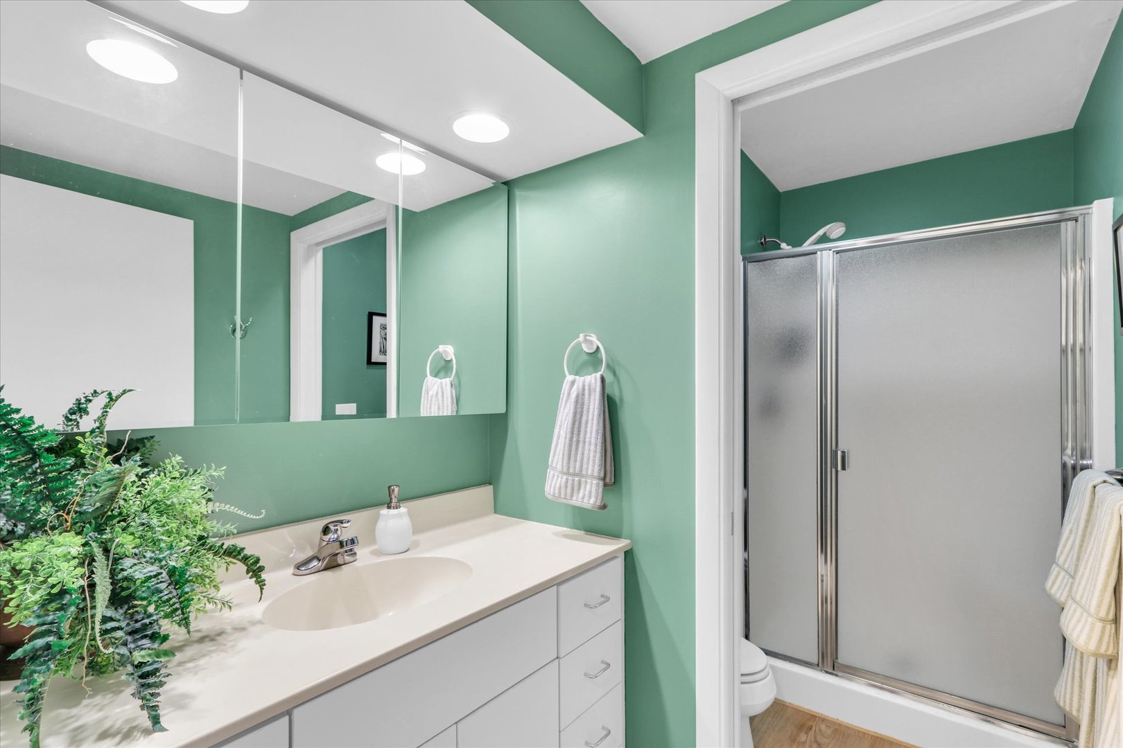 29 Fields East Champaign, IL 61822 - Photo 34 of 46 a bathroom with a sink and mirror