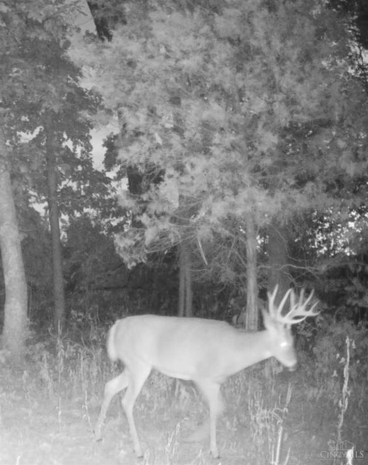 0 Harriet Road Hillsboro, OH 45133 - Photo 25 of 96