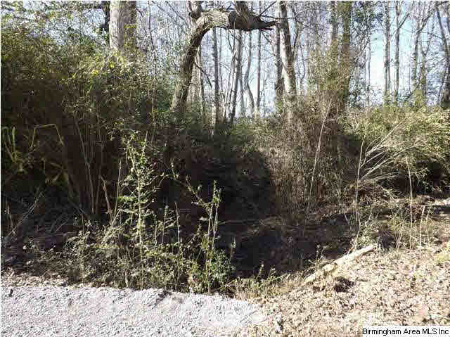 New Prospect Church Road, Unit 16 Horton, AL 35980 - Photo 19 of 20