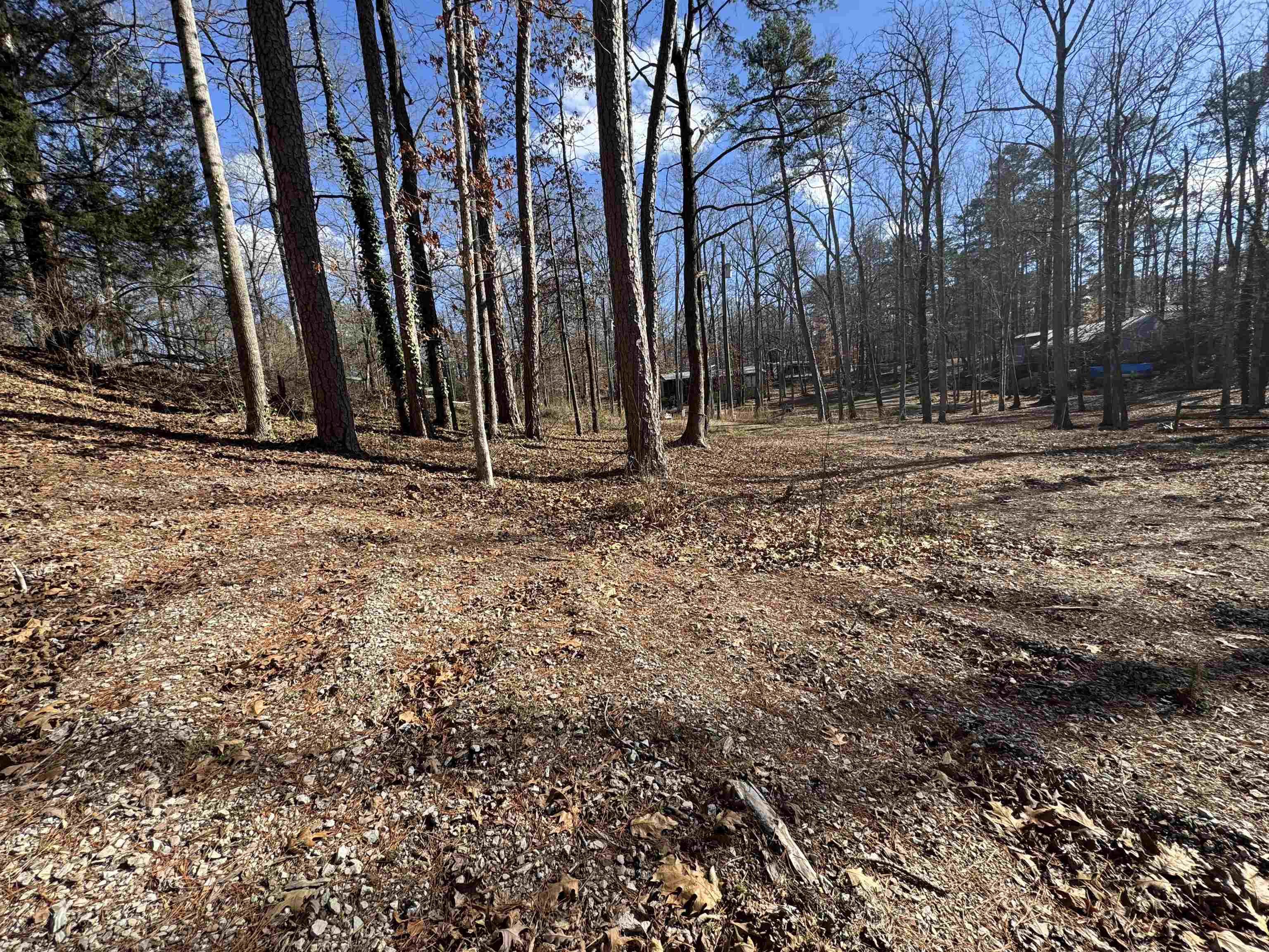 190 Cardinal Road Counce, TN 38326 - Photo 11 of 17 a backyard of a house with lots of green space