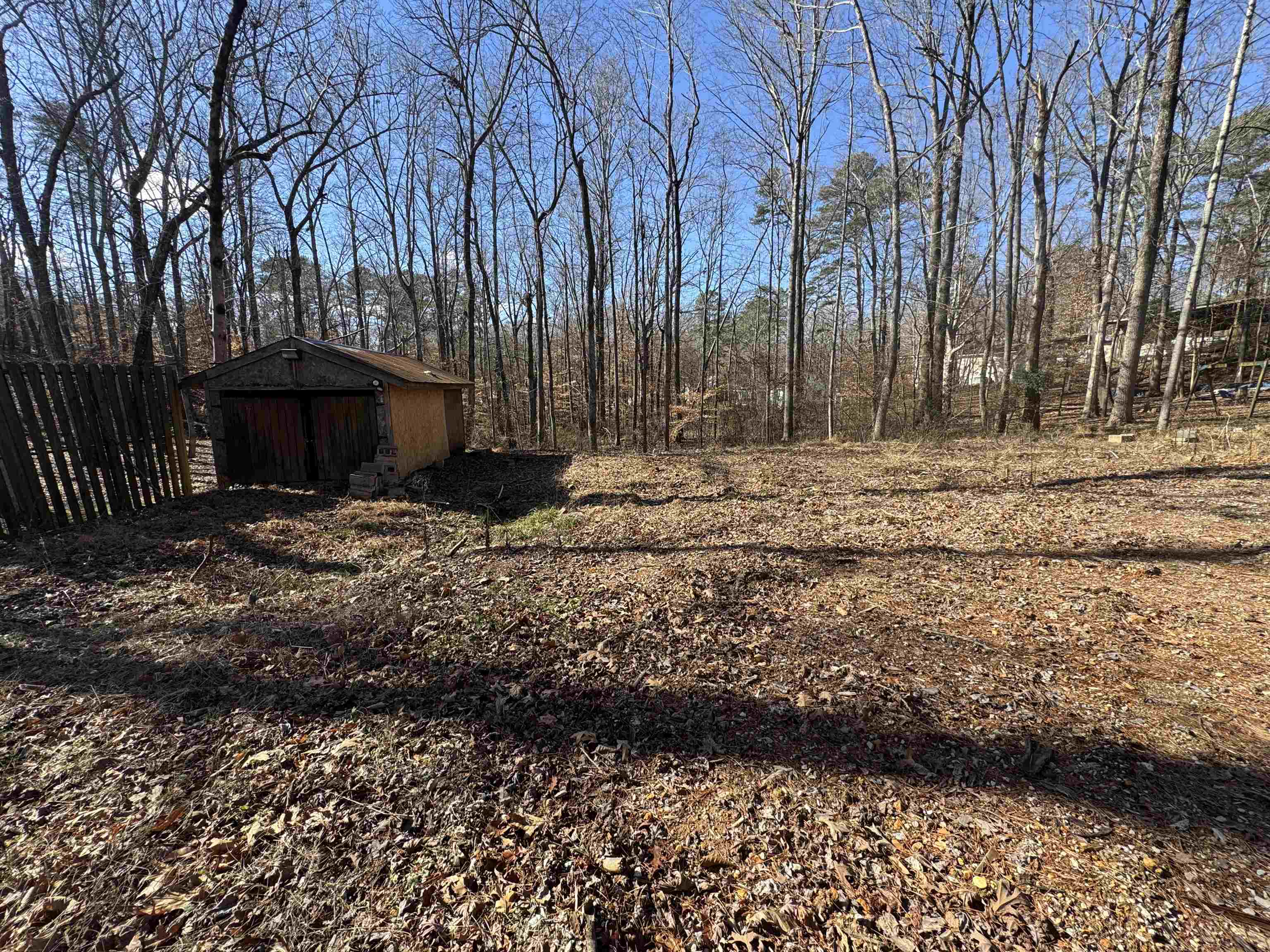 190 Cardinal Road Counce, TN 38326 - Photo 13 of 17 a view of a yard with an outdoor space