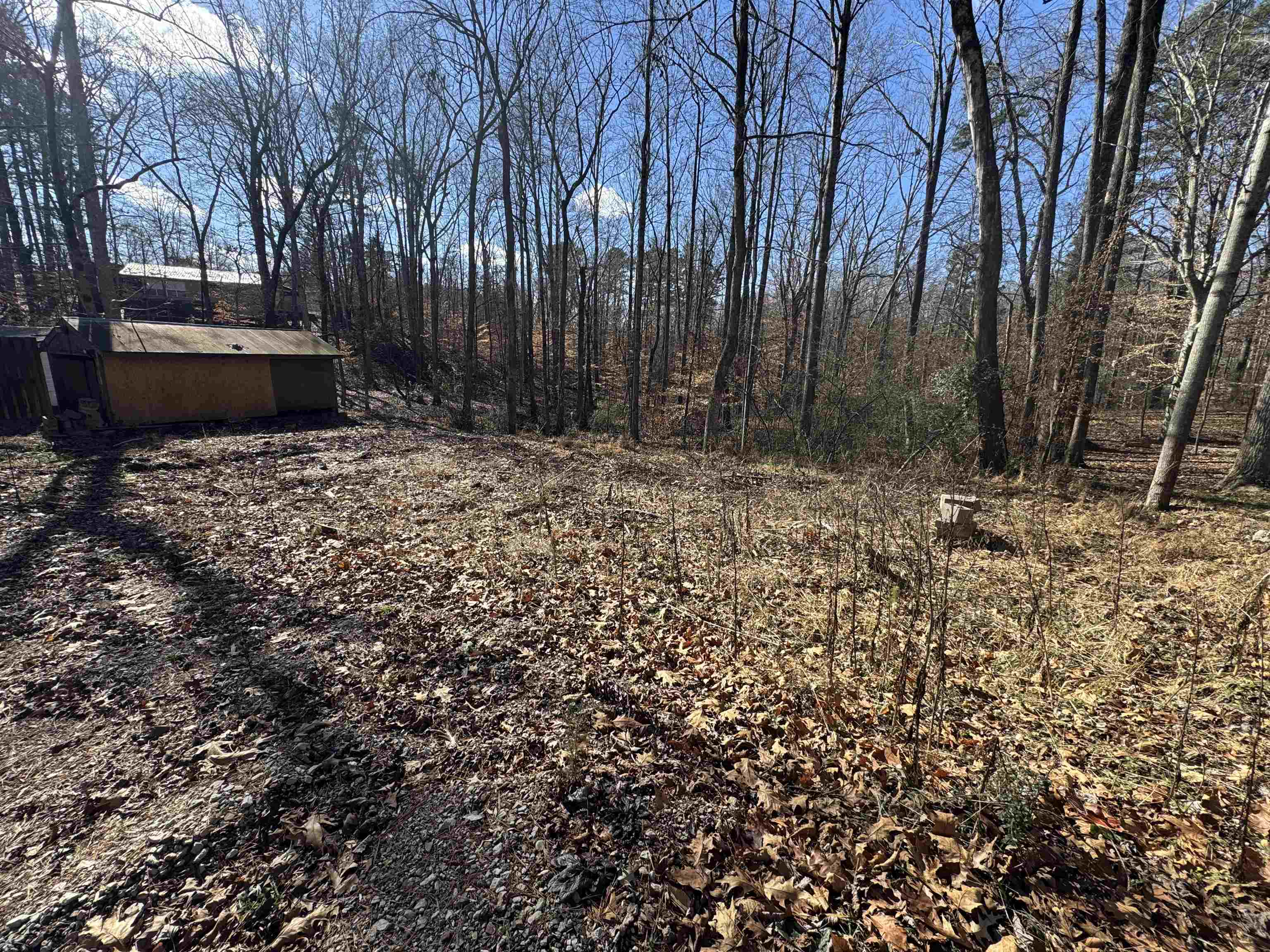 190 Cardinal Road Counce, TN 38326 - Photo 14 of 17 a backyard of a house