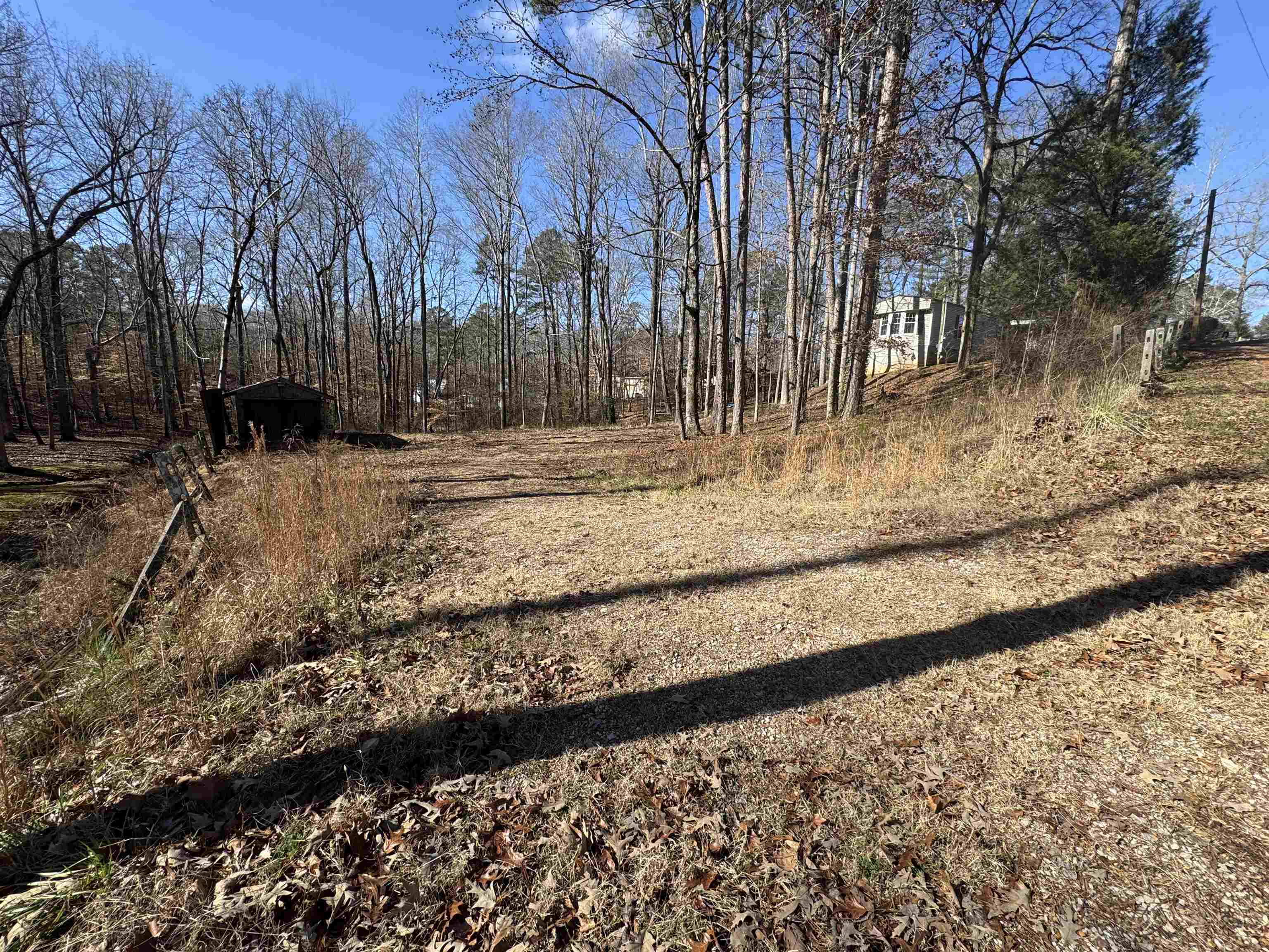 190 Cardinal Road Counce, TN 38326 - Photo 17 of 17 a view of a yard with a large tree