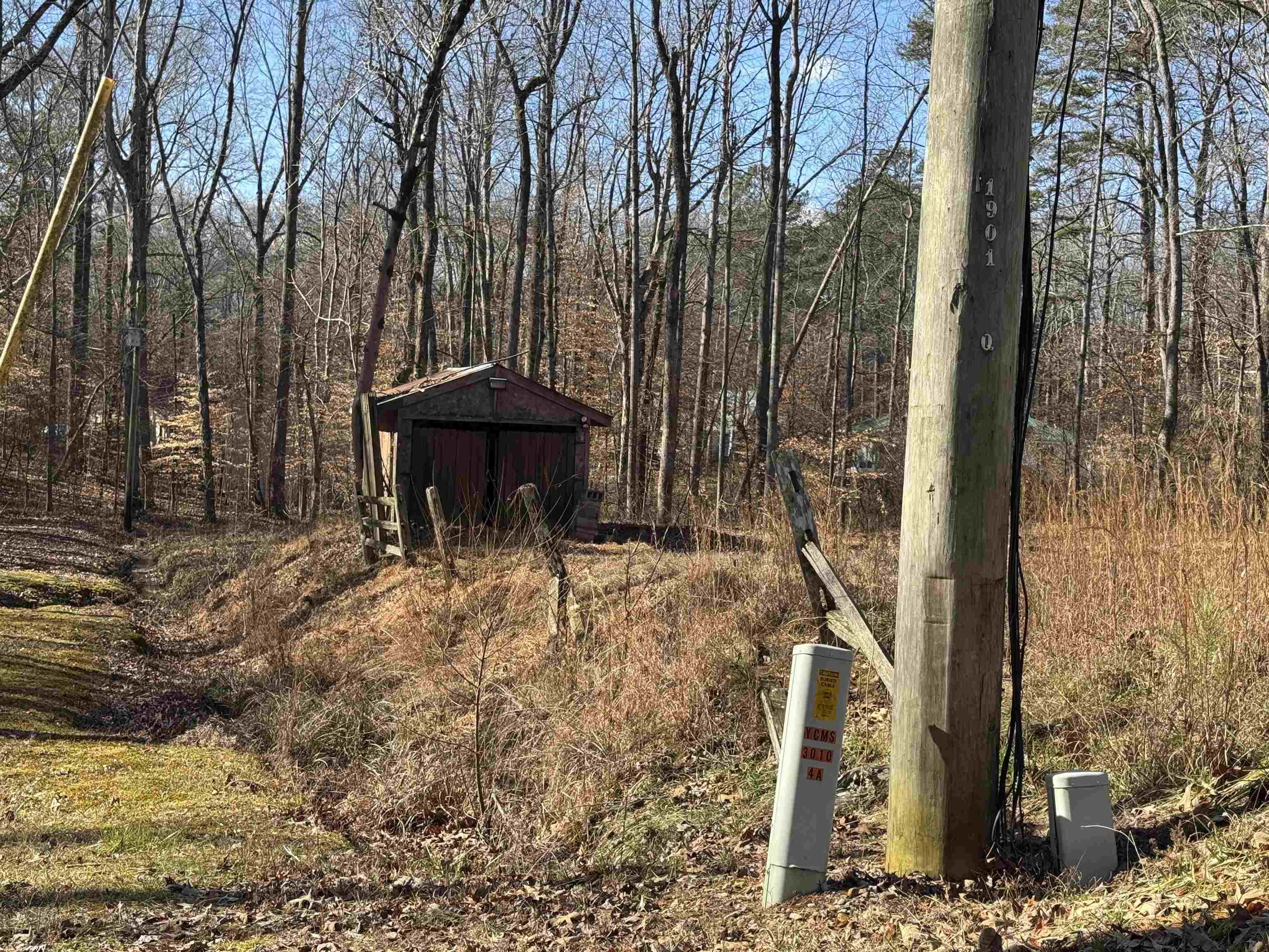 190 Cardinal Road Counce, TN 38326 - Photo 2 of 17 a view of a back yard of the house