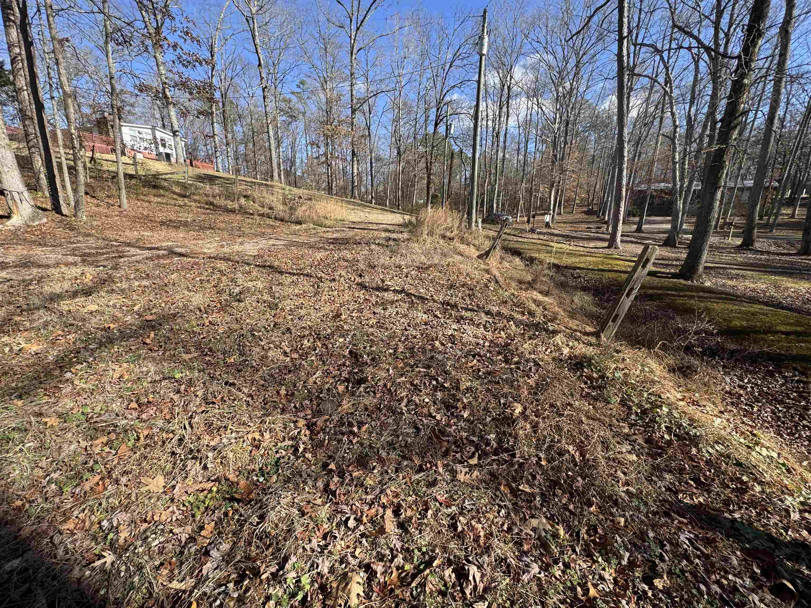 190 Cardinal Road Counce, TN 38326 - Photo 4 of 17 a backyard of a house with lots of green space