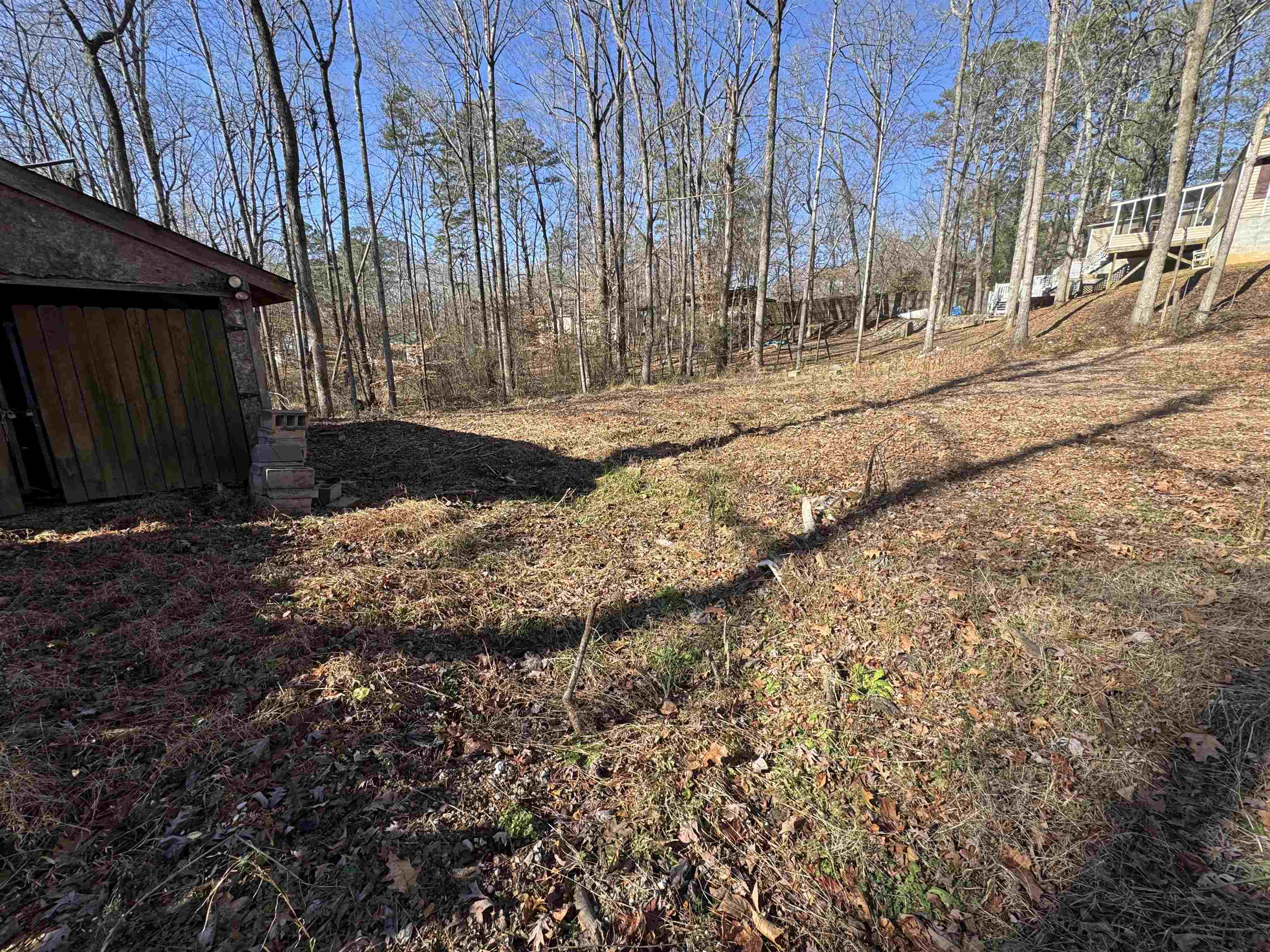 190 Cardinal Road Counce, TN 38326 - Photo 5 of 17 a view of a backyard of the house